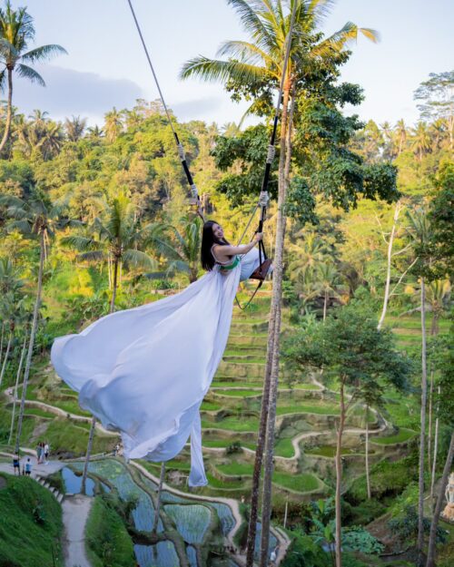 swing with a view of trees and rice fields at Uma Ceking Resto and Swings