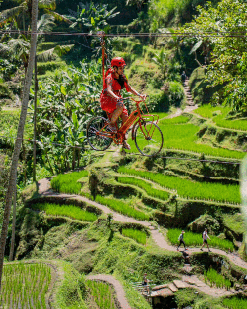 Zip Bike
